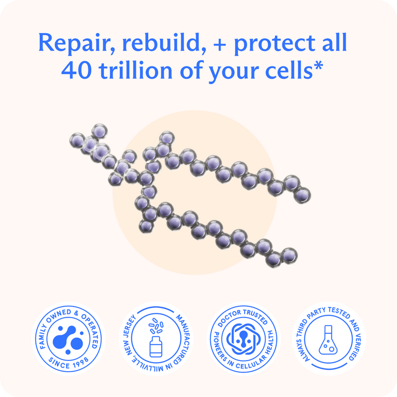 BodyBio PC (Phospholipid Complex) image 2